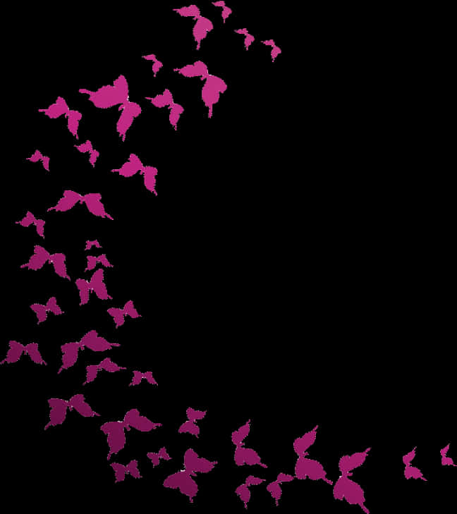 Mariposas Flying In Semi-circle