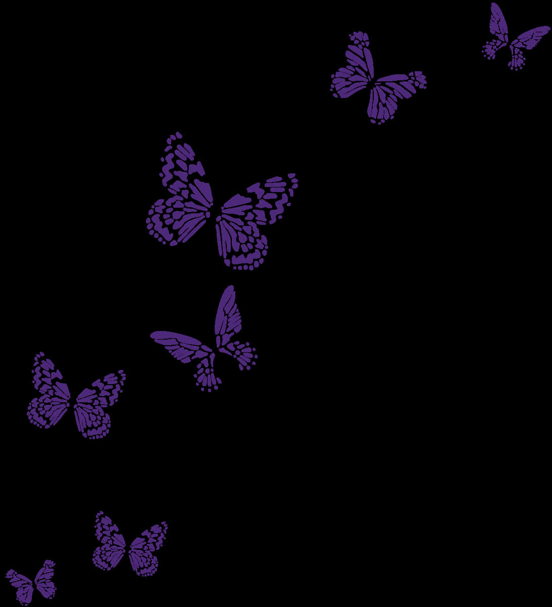 Violet And Black Mariposas