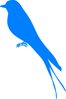 A Blue Bird On A Black Background