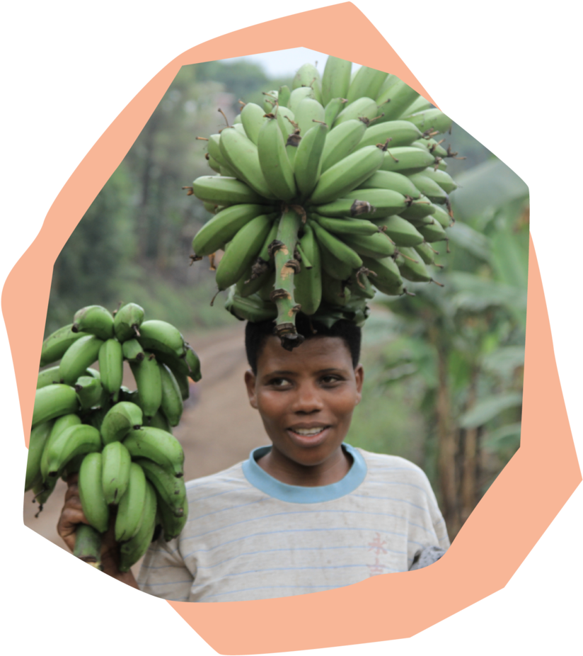 A Boy Holding A Bunch Of Bananas On His Head
