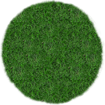 A Circle Of Green Grass