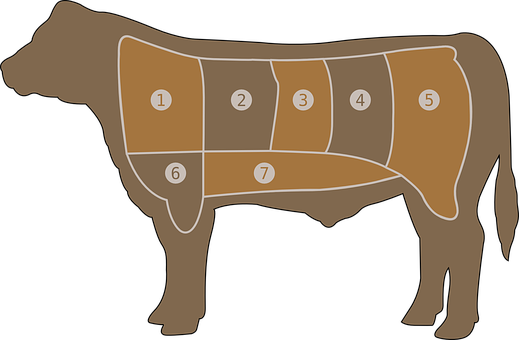 A Diagram Of A Cow