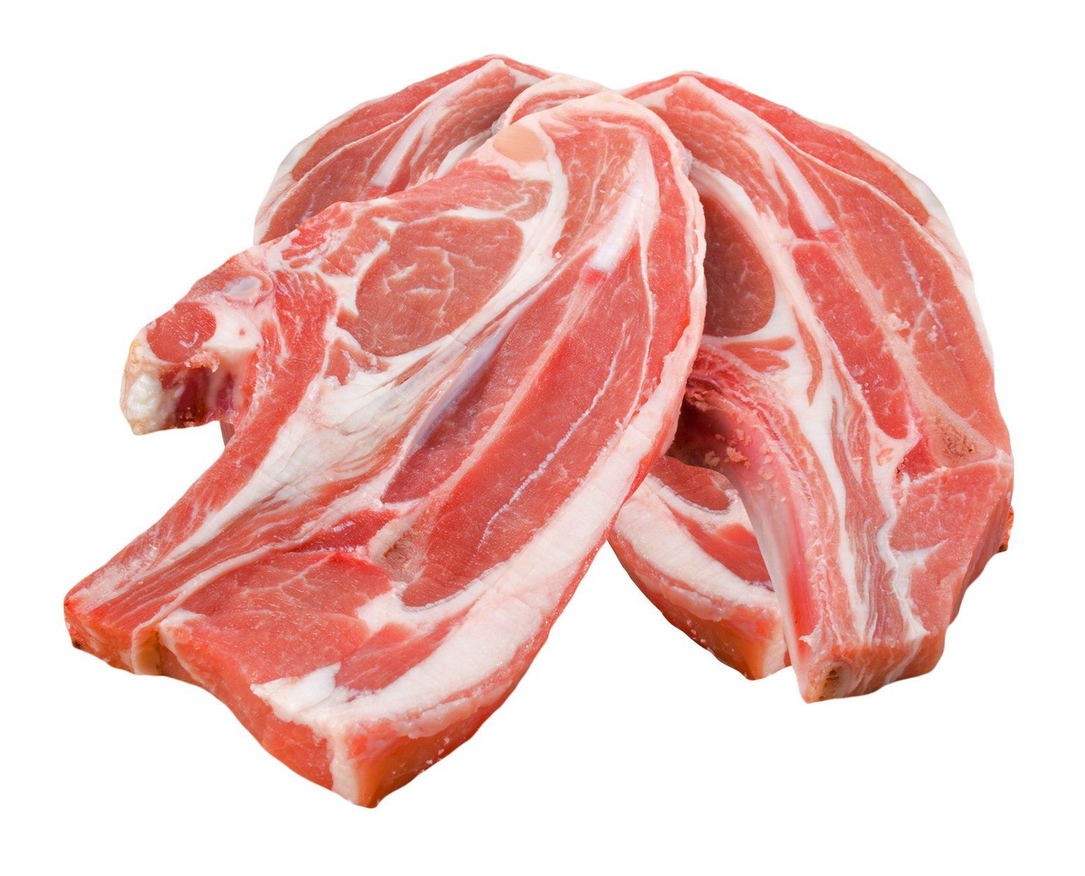 Meat Png 1551 X 1253