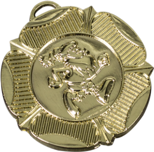 A Gold Medallion With A Lion On It