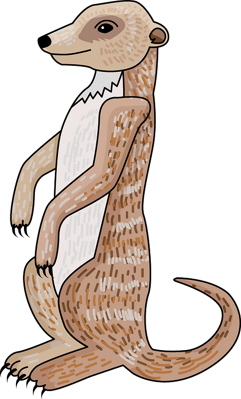 A Drawing Of A Meerkat