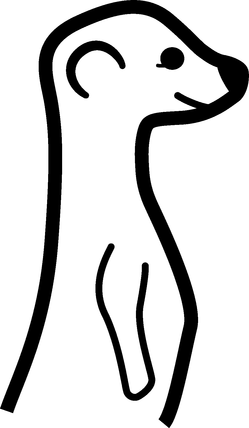 A White Animal With Black Background