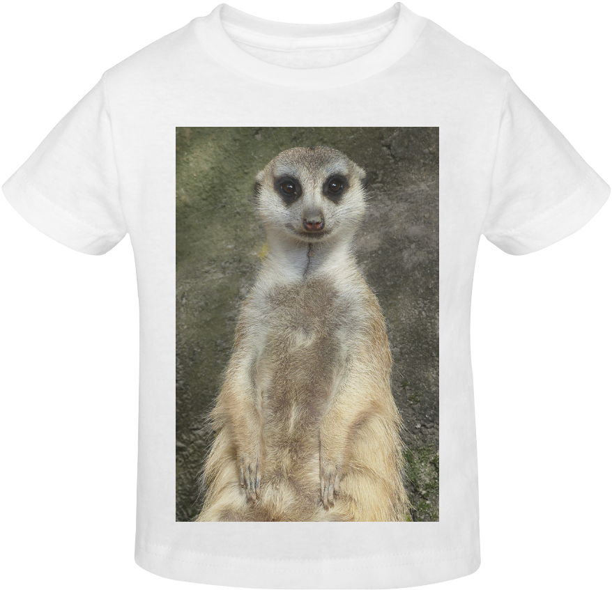 A White Shirt With A Meerkat On It