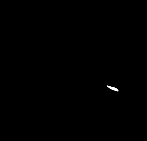 A White Object In The Dark