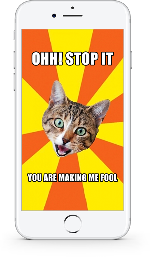 Meme Maker Developed By Digi Tech Lab - Pussy Cat Good Morning, Hd Png Download