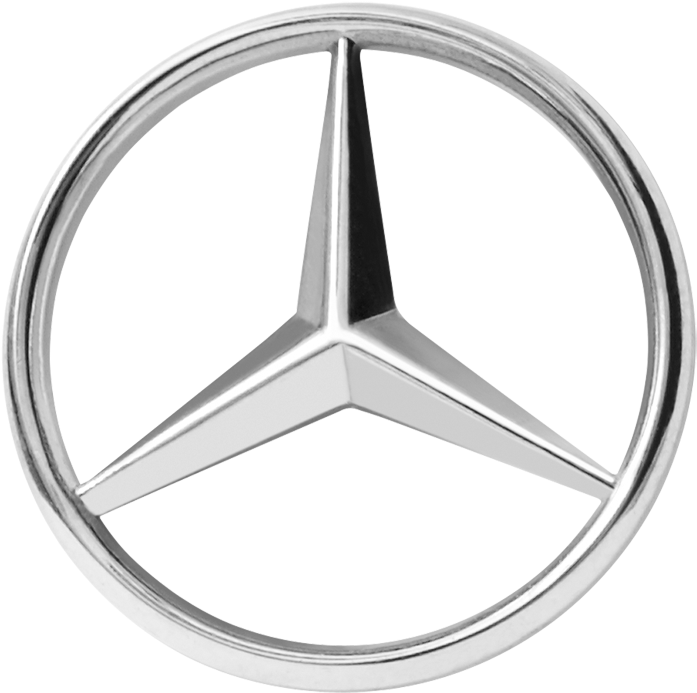A Silver Star Shaped Car Logo