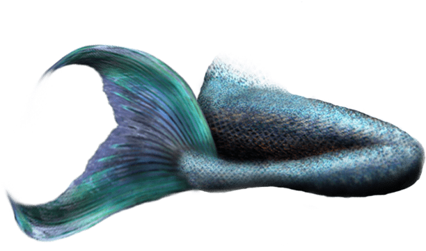 Mermaid Tail No Background, Hd Png Download