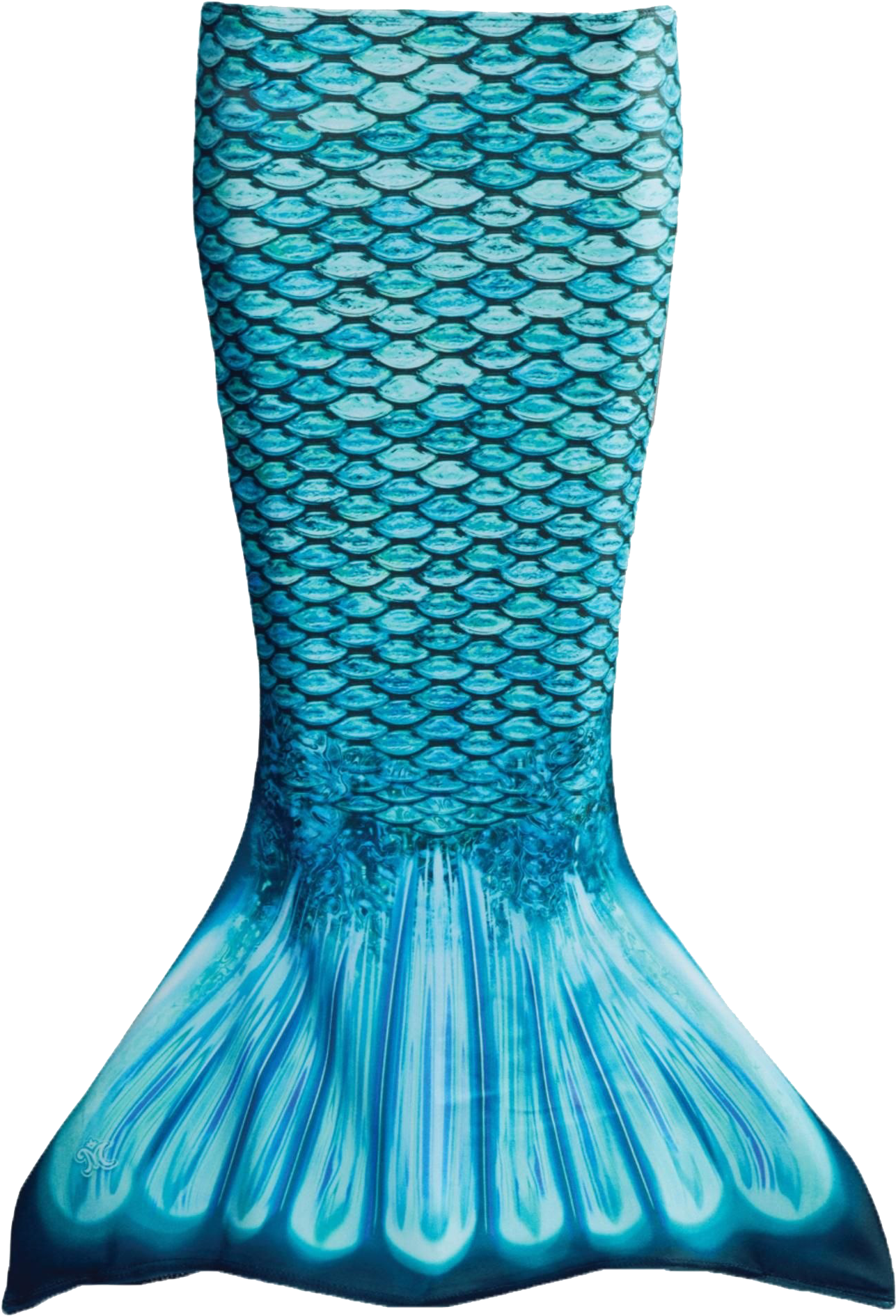 Mermaid Tail Png Free Download - Mermaid Tail, Transparent Png