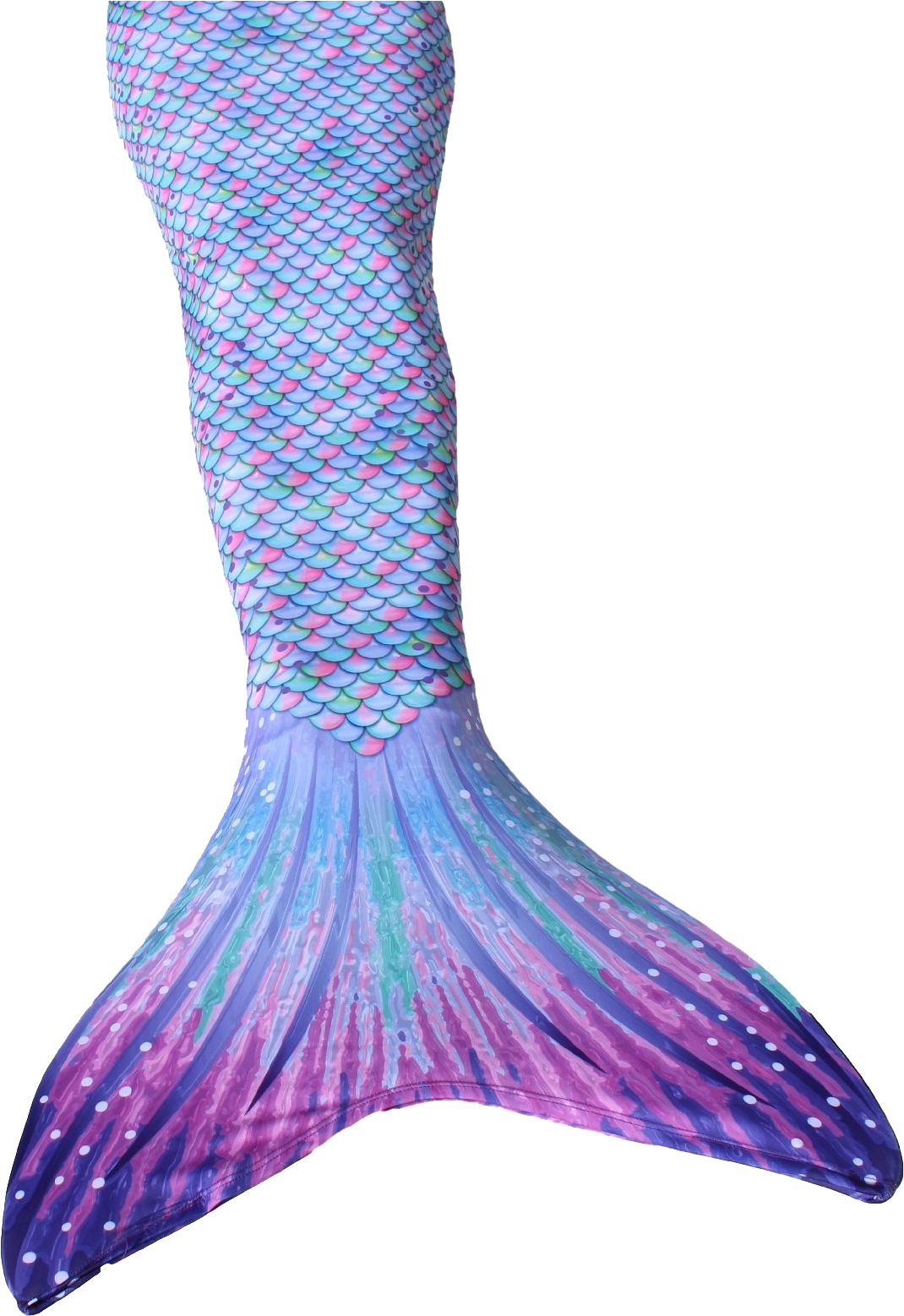 Mermaid Tail Png Image - Purple And Blue Mermaid Tail, Transparent Png