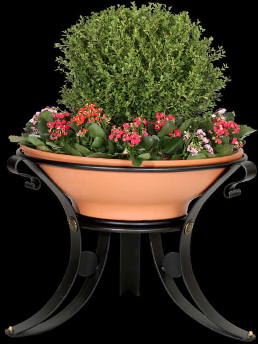 Bushy Plant In Flower Pot