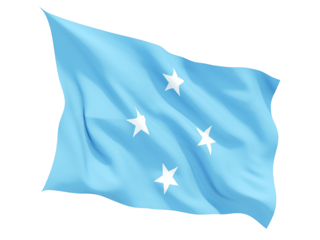 A Blue Flag With White Stars