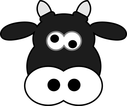 A Black And White Cow Face