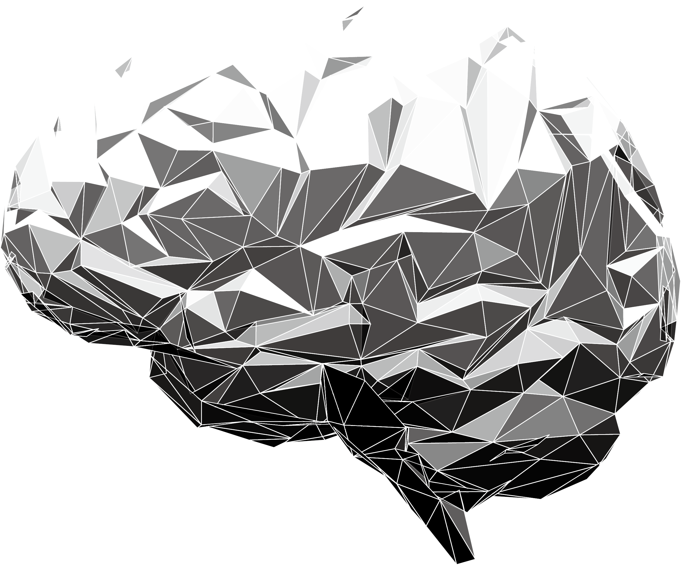 A White And Black Low Poly Brain