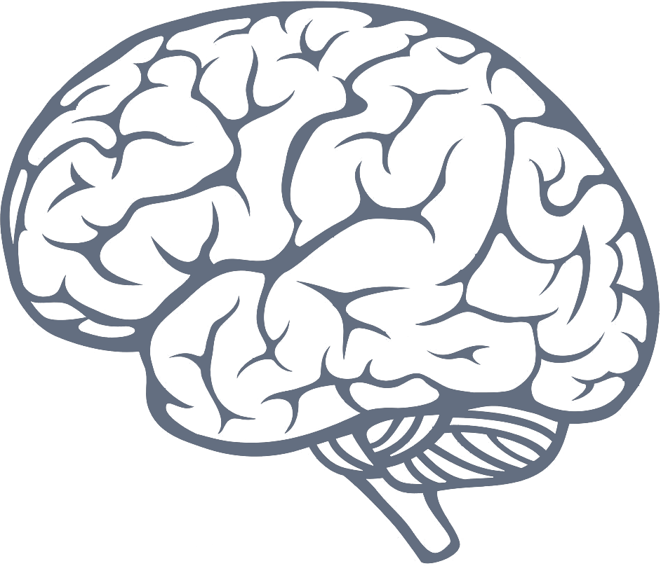 A Grey Brain With Black Background