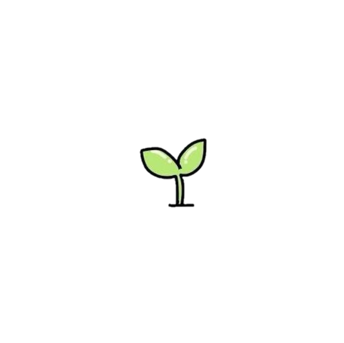 A Green Sprout On A Black Background