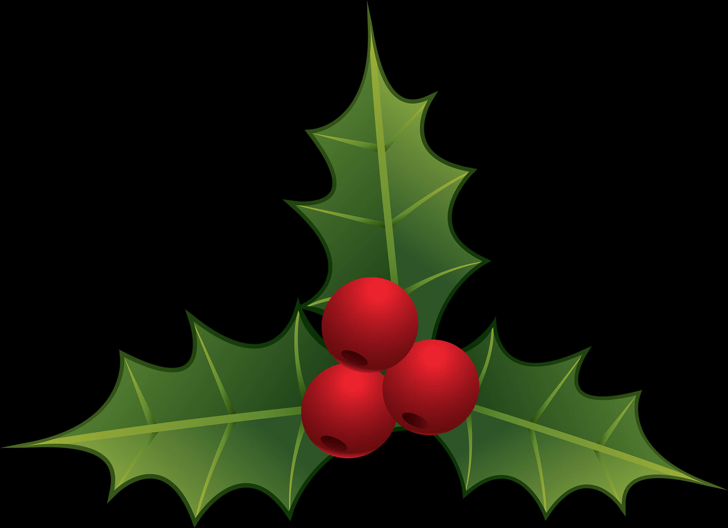A Holly Berry With Red Berries