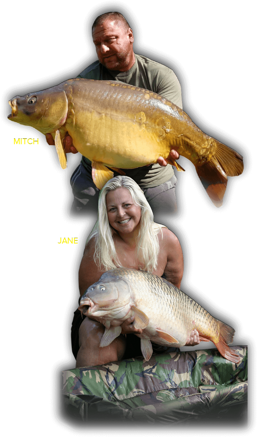 Mitch And Jane - Carp, Hd Png Download