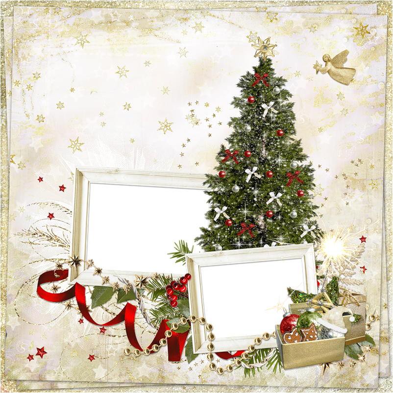 A Christmas Tree With Two Frames