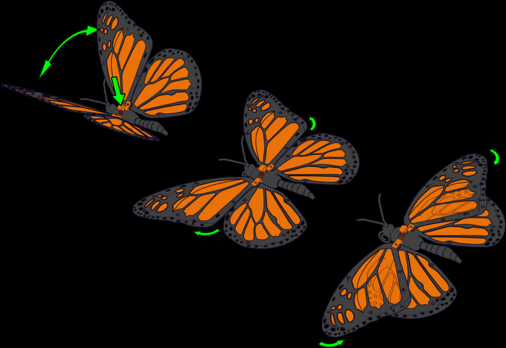 A Group Of Butterflies With Green Arrows