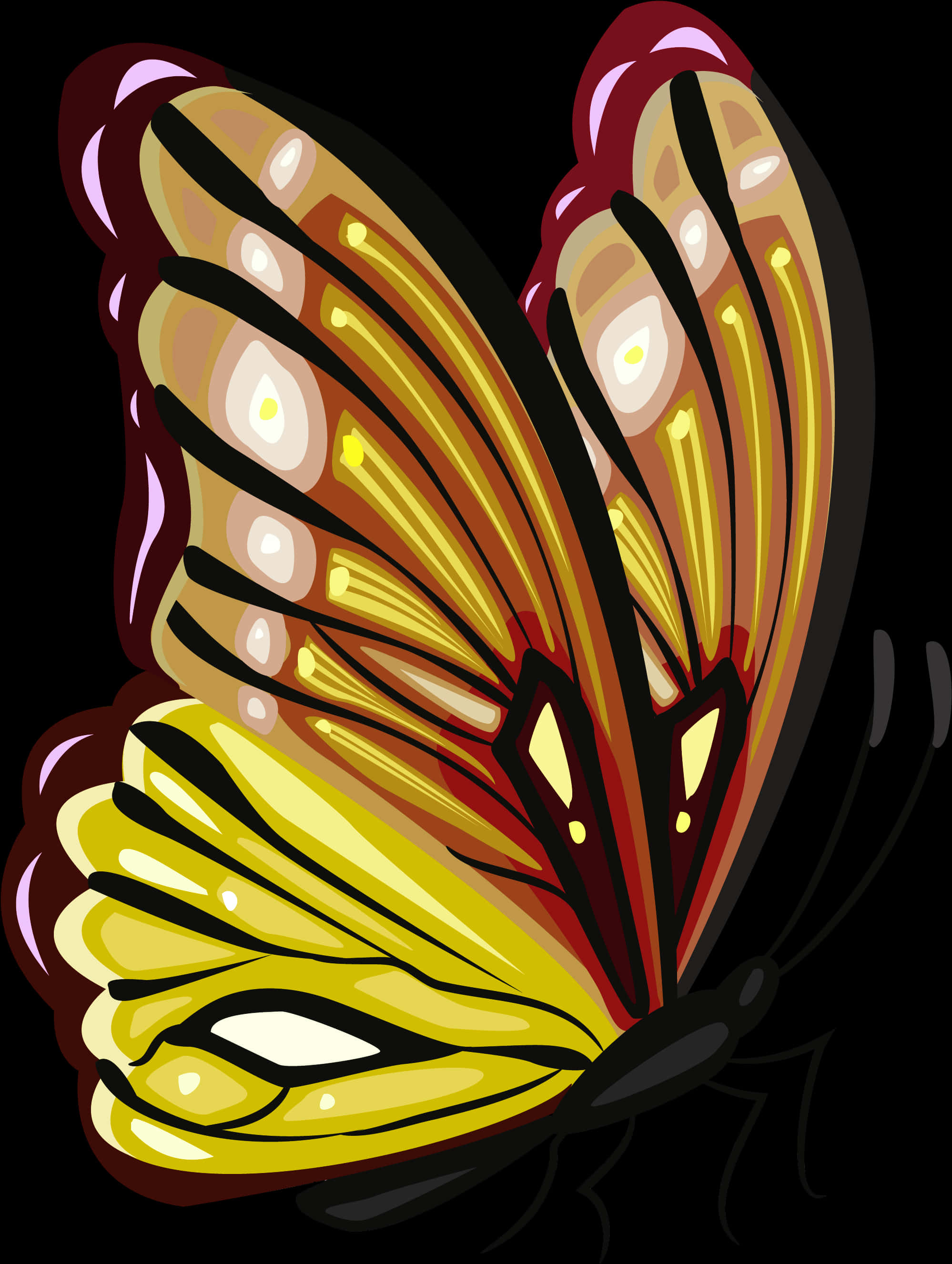 A Yellow And Black Butterfly