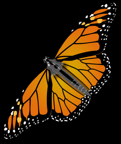 A Butterfly With Orange Wings