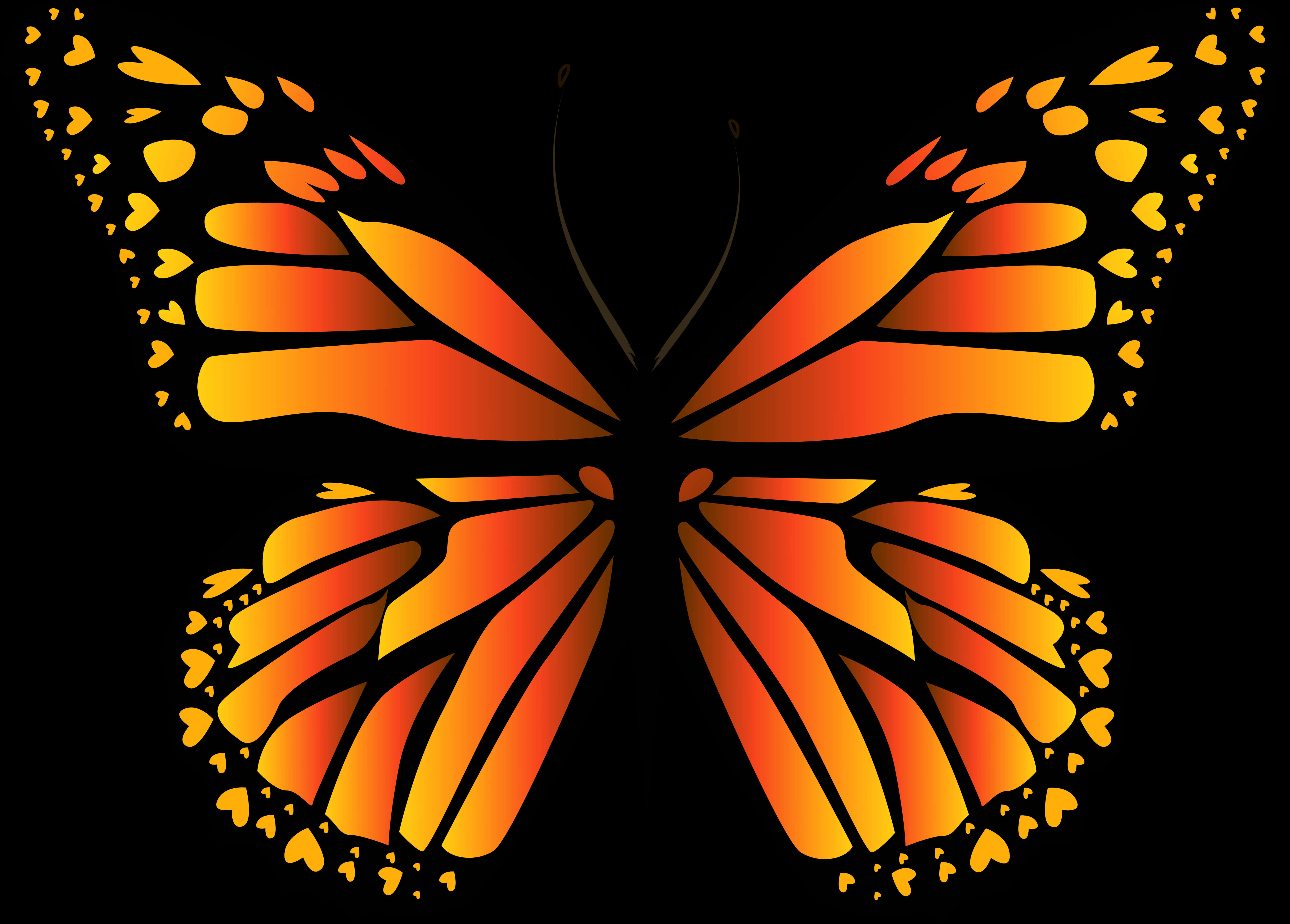 A Butterfly With Orange And Yellow Wings
