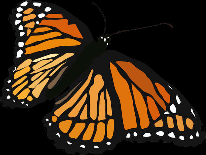 A Butterfly With Orange And White Wings