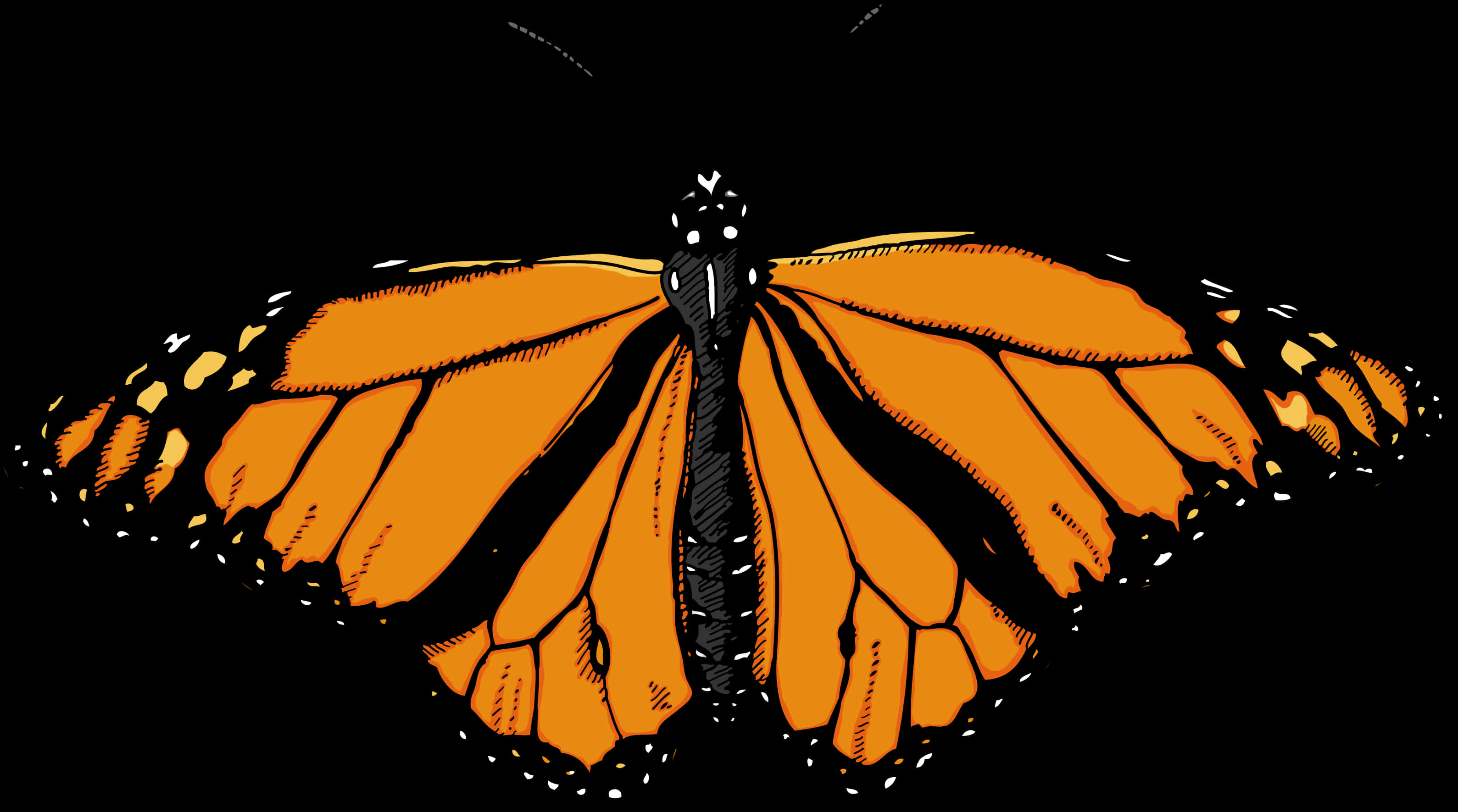 Download A Butterfly With Black And Orange Wings [100% Free] - FastPNG