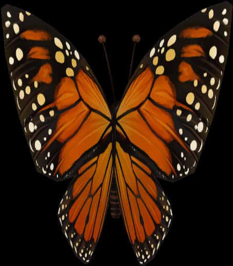 A Butterfly With Black And Orange Wings