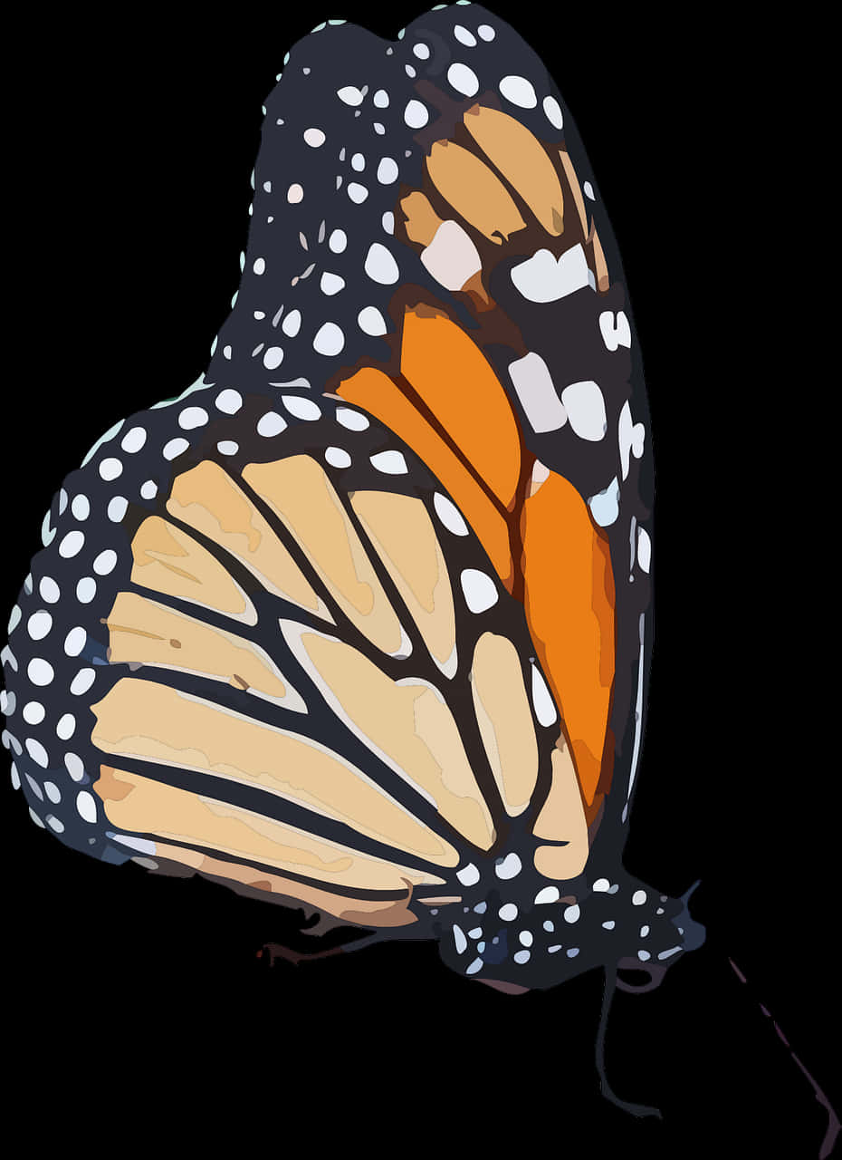 A Butterfly With Orange And White Spots