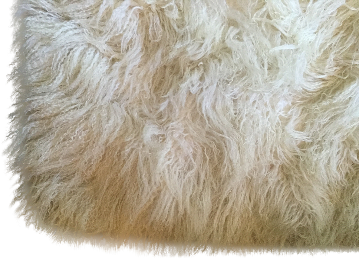 A Close Up Of A White Fur