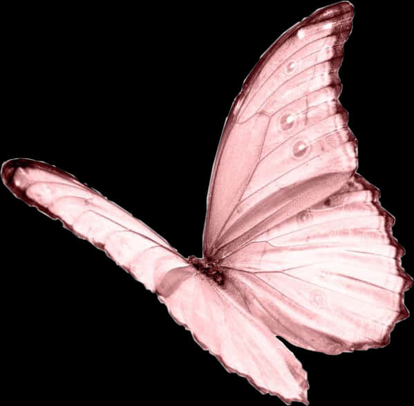 A Pink Butterfly With Wings Spread
