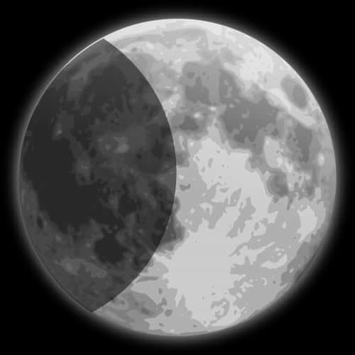 Moon,moon Shine,half Moon,free Vector Graphics - Full Moon