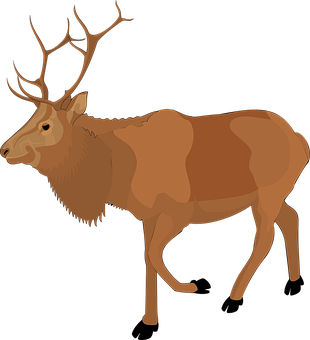 A Brown Elk With Antlers