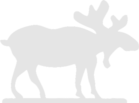 A White Moose With Antlers