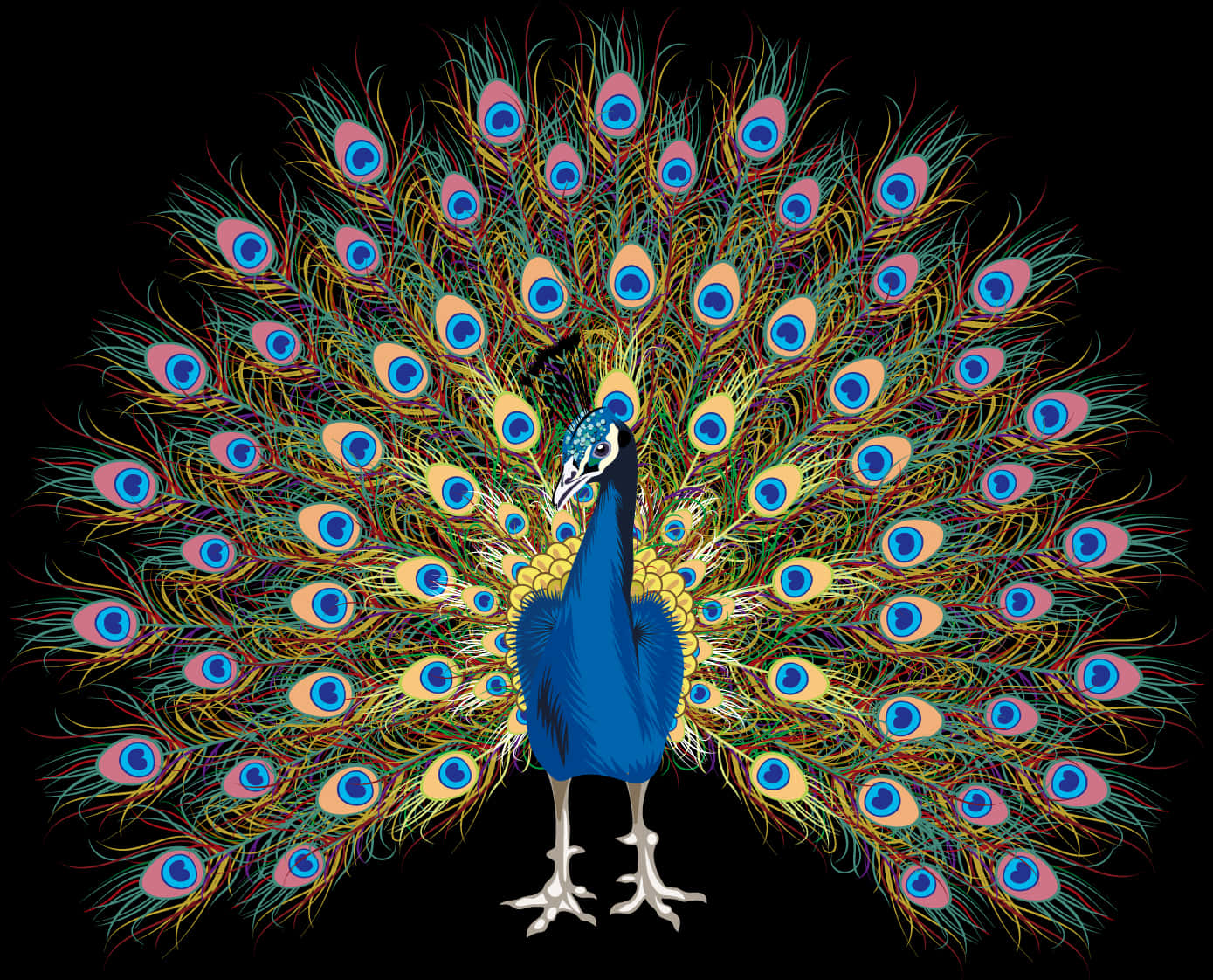 A Peacock With Colorful Feathers