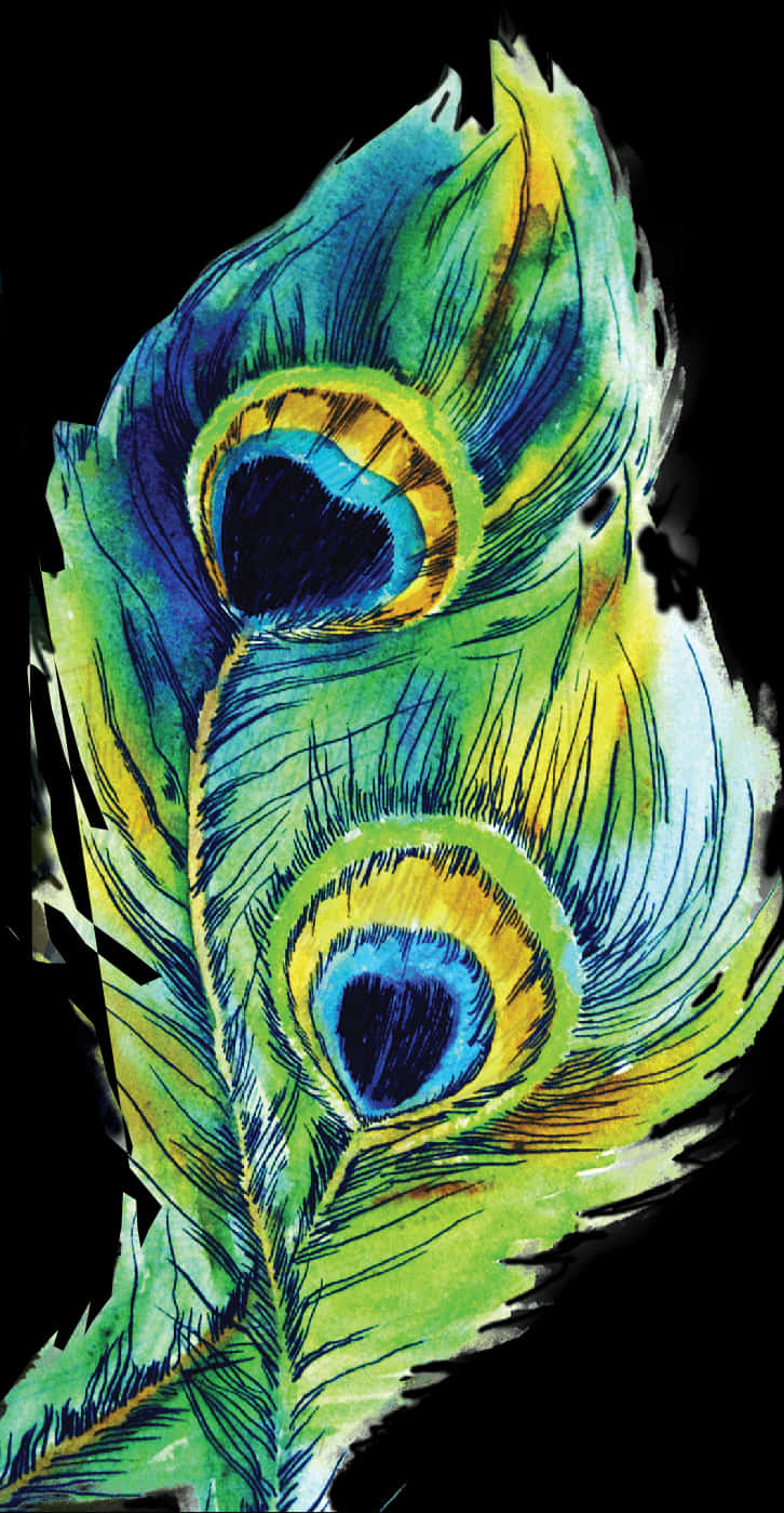 A Close-up Of A Peacock Feather