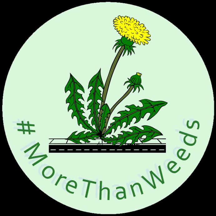 A Yellow Dandelion With Green Leaves