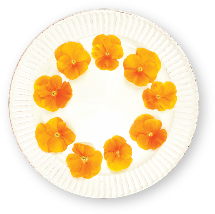 A Plate With Orange Flowers