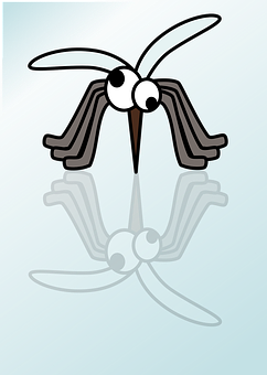 Mosquito Png 242 X 340