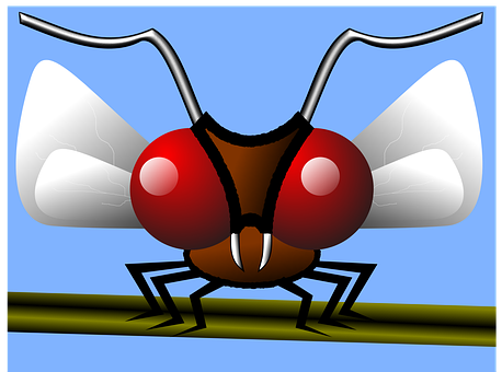 Mosquito Png 458 X 340