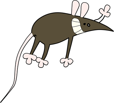 Mouse Png 378 X 340