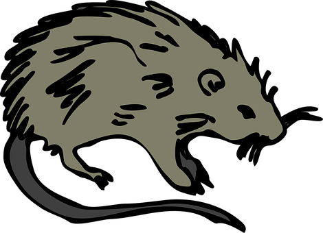 Mouse Png 470 X 340