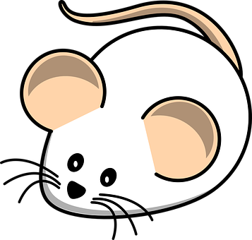 Mouse Png 357 X 340