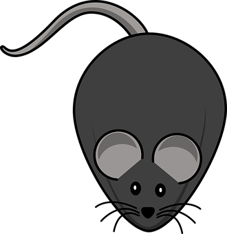 Mouse Png 330 X 340