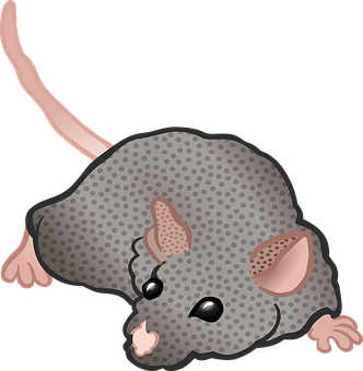 Mouse Png 332 X 340
